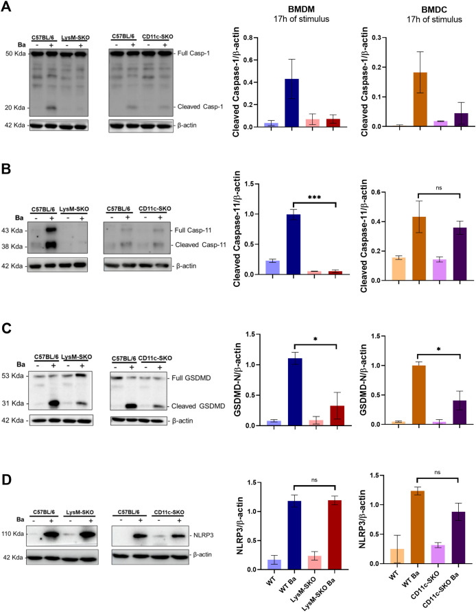 Figure 4