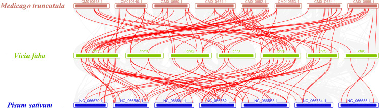 Figure 5