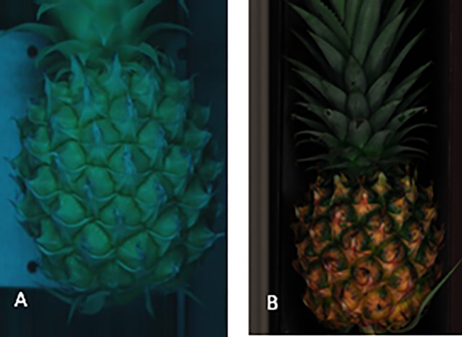 Figure 2