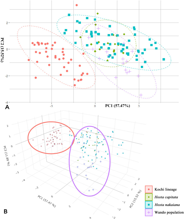 Figure 3
