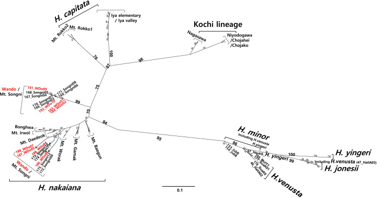 Figure 4