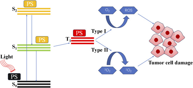 FIGURE 1