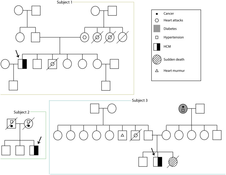 Figure 2