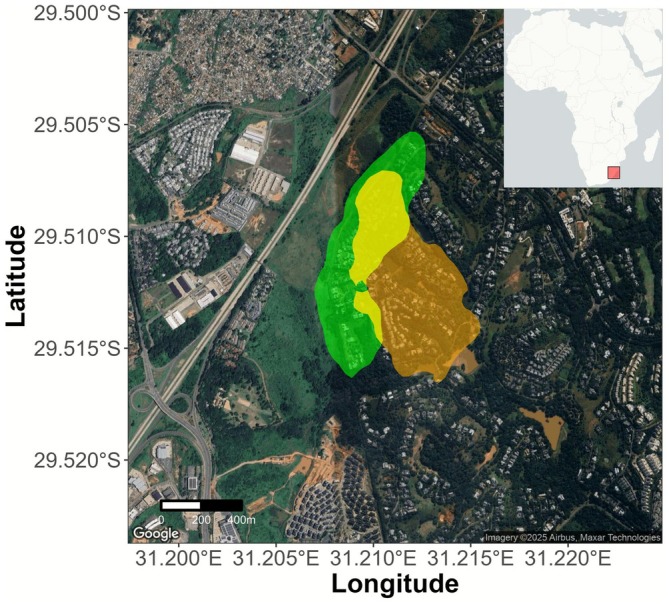 FIGURE 2
