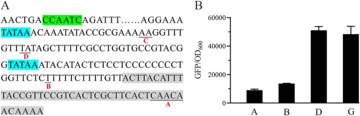 FIGURE 3