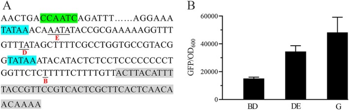 FIGURE 5
