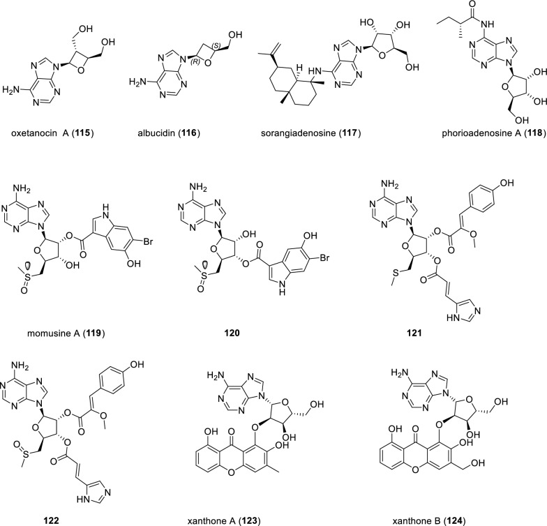 Figure 16