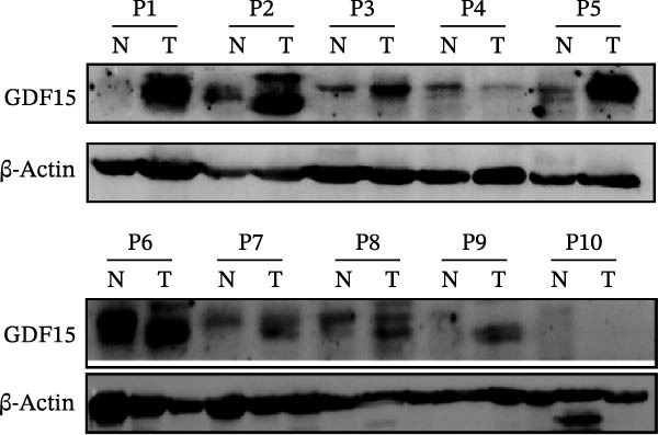 Figure 17