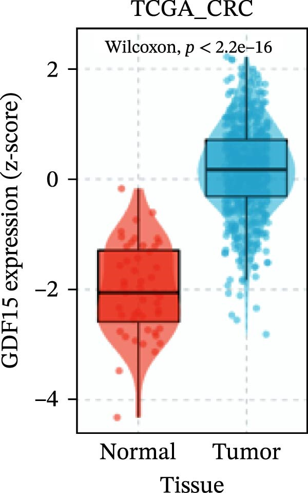 Figure 19