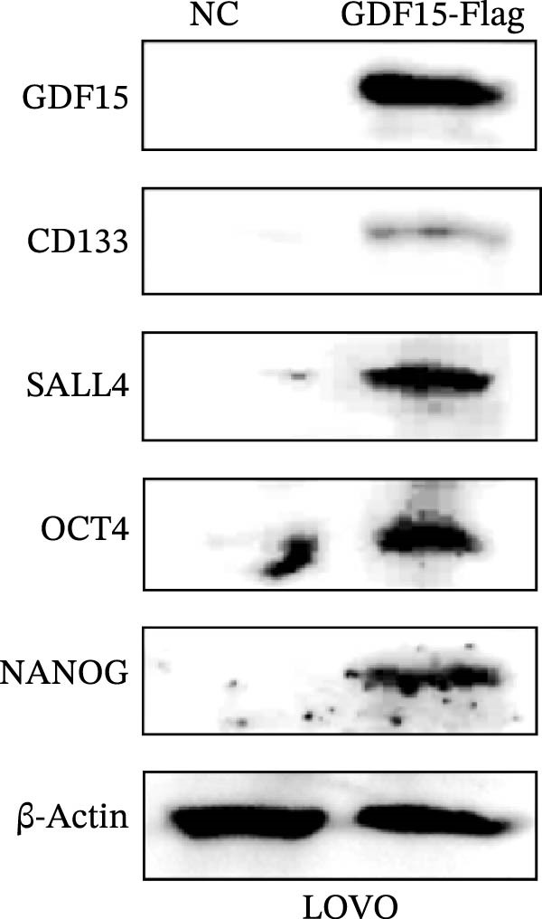 Figure 29