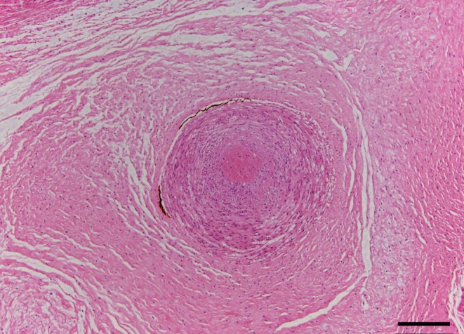 FIGURE 3