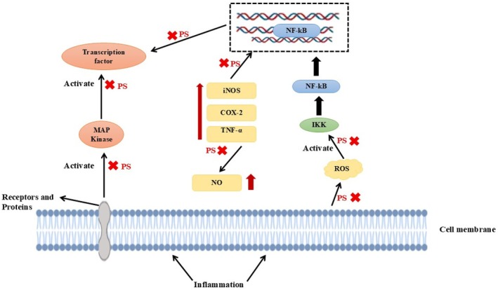 FIGURE 2