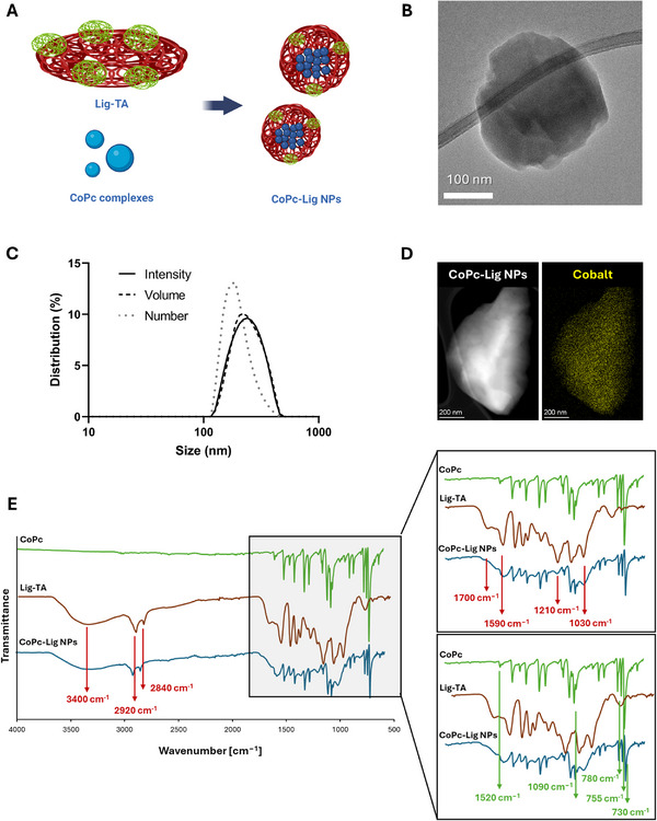 FIGURE 2