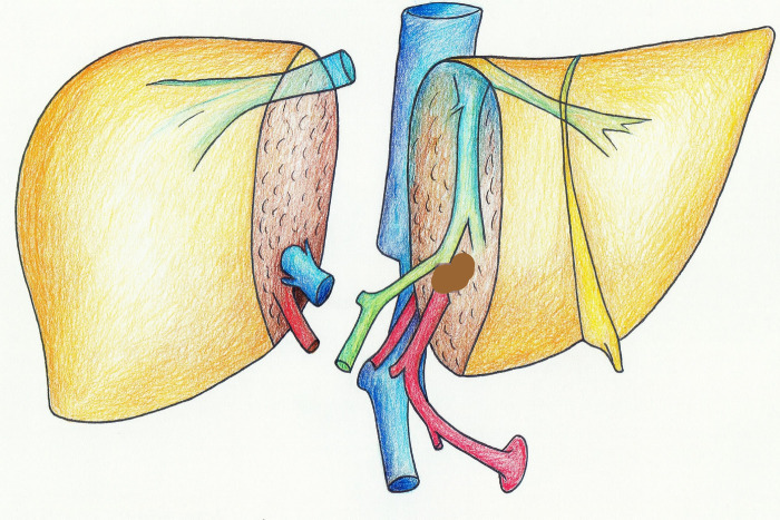 Figure 1
