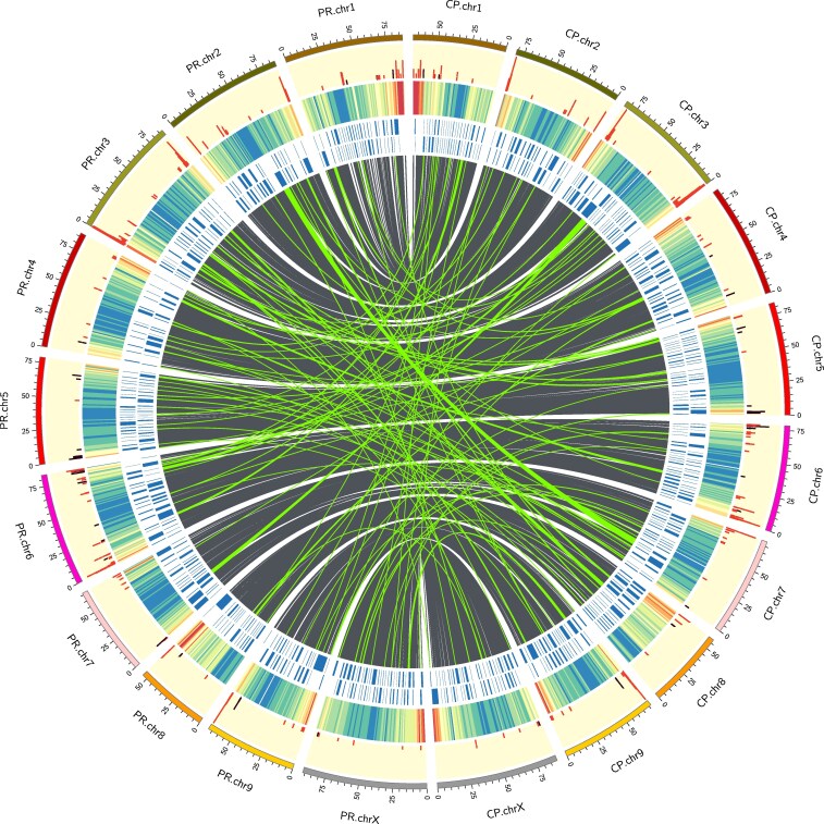Fig. 10