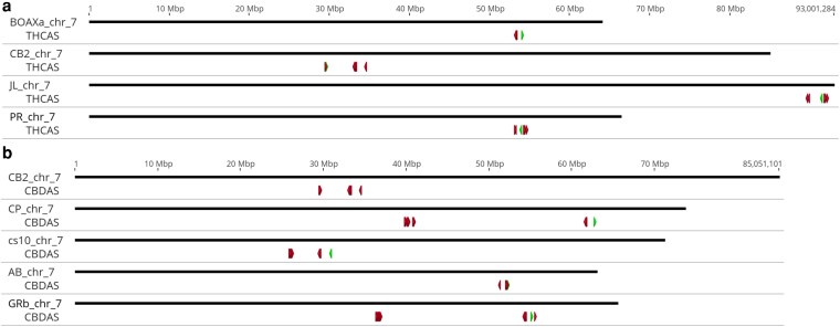 Fig. 5