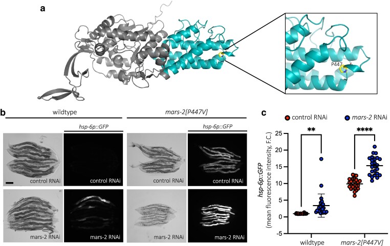 Fig. 4