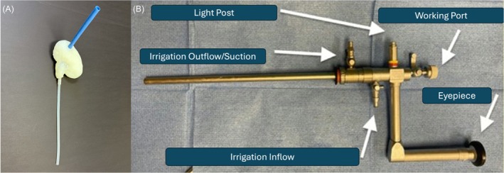 FIGURE 1