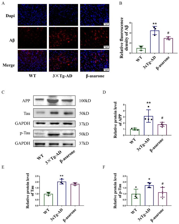 FIGURE 3