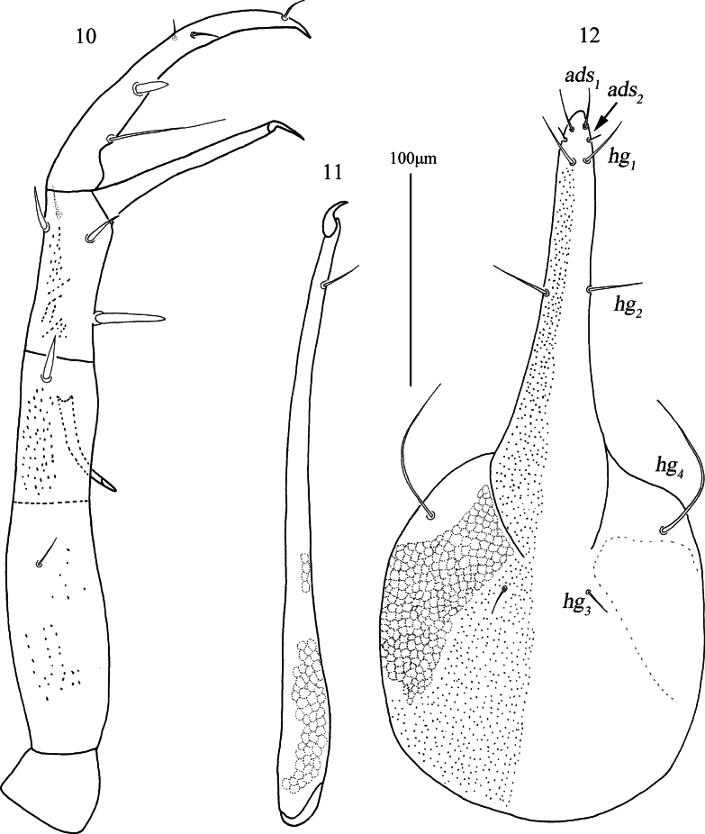 Figures 10–12