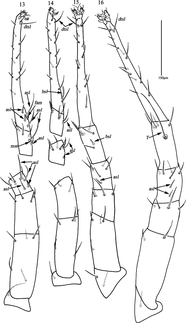 Figures 13–16
