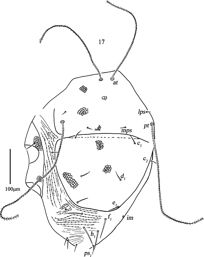 Figure 17