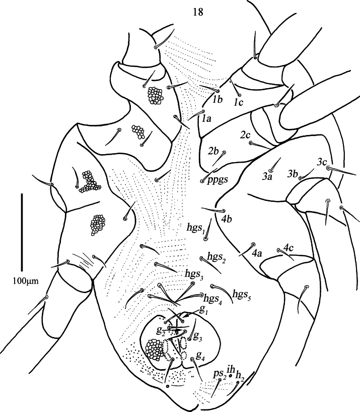 Figure 18
