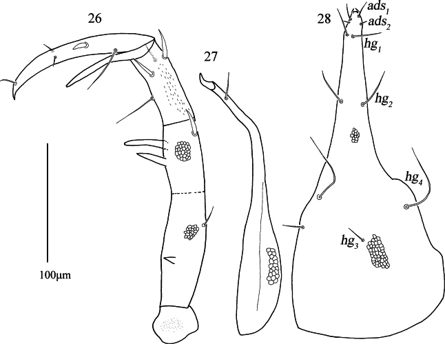 Figures 26–28