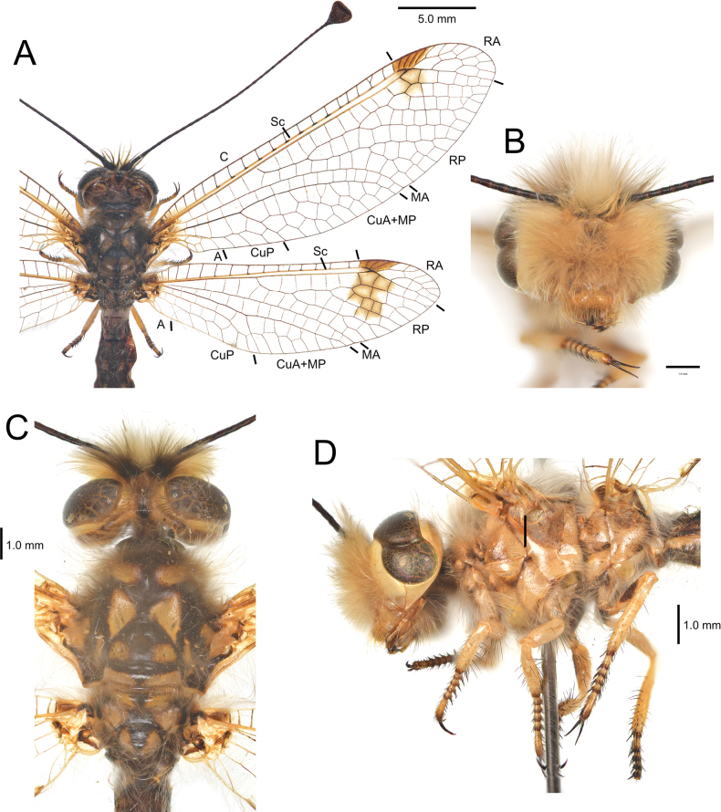 Figure 6