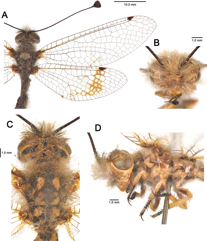 Figure 11