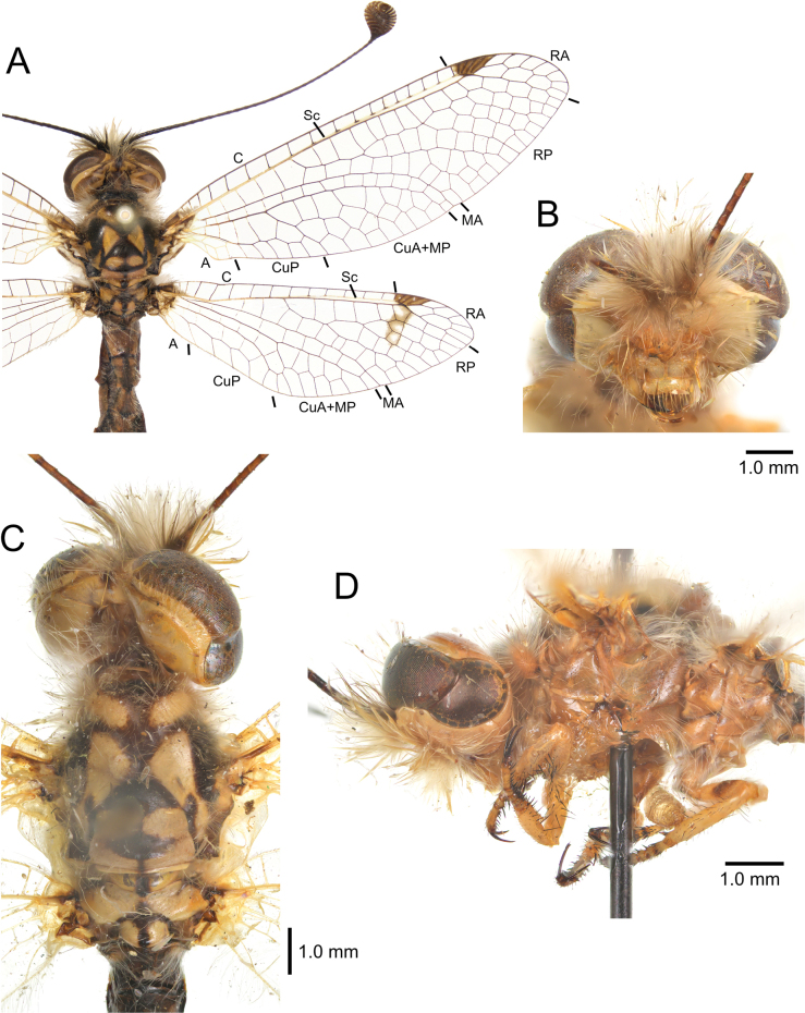 Figure 13