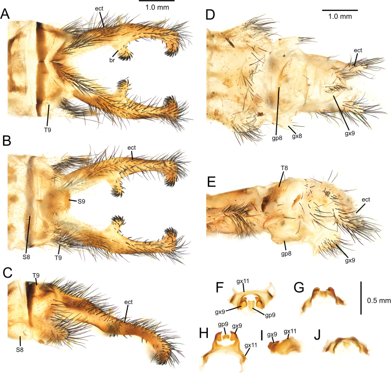 Figure 14