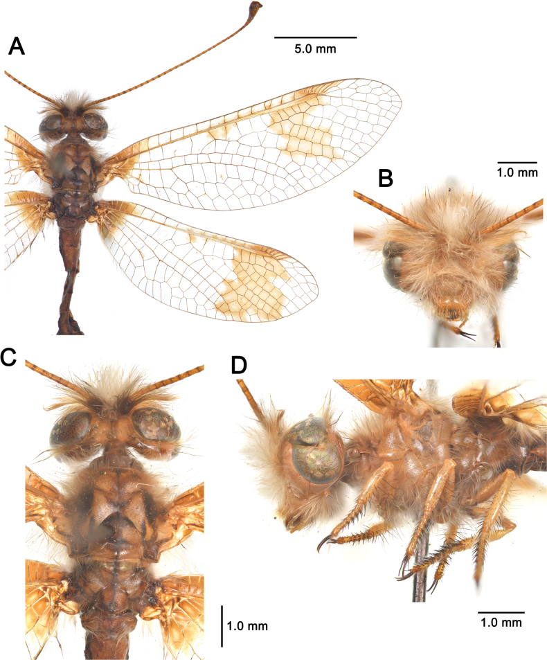 Figure 15