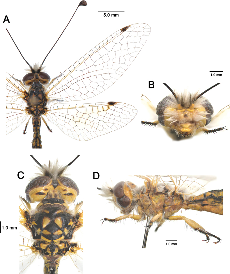 Figure 17