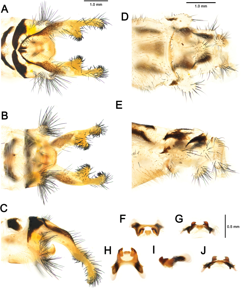 Figure 18
