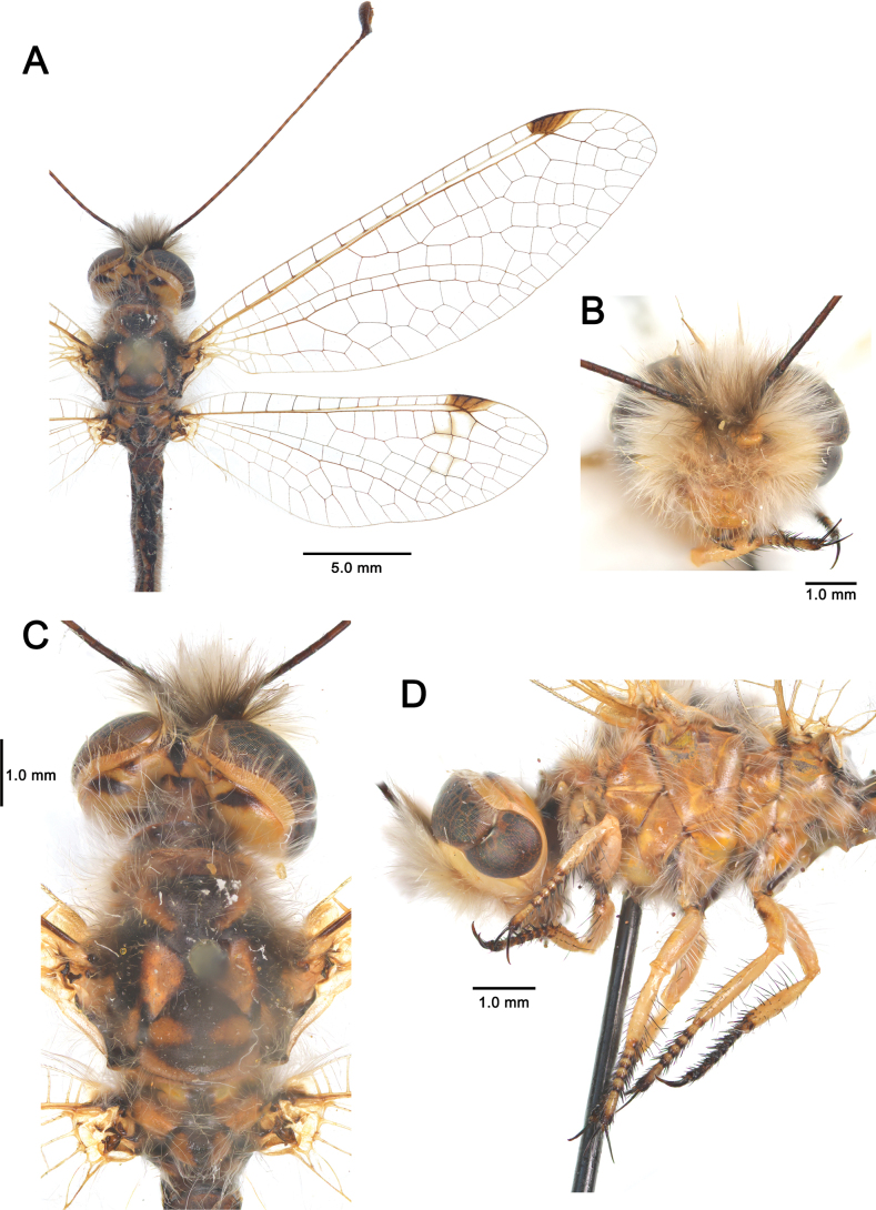 Figure 22