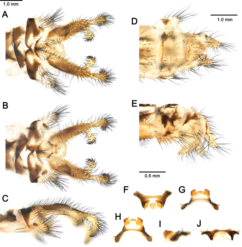 Figure 23