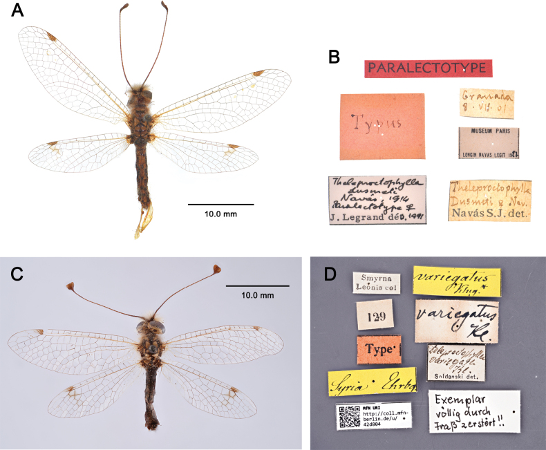 Figure 24