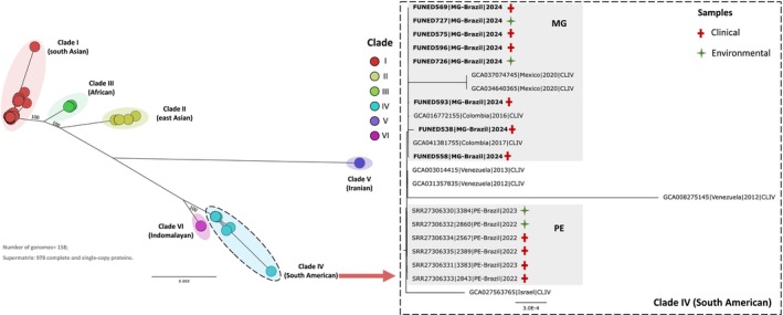 FIGURE 2