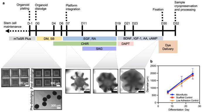 Extended Data Fig. 3 ∣