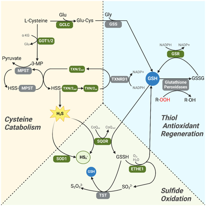 Figure 12