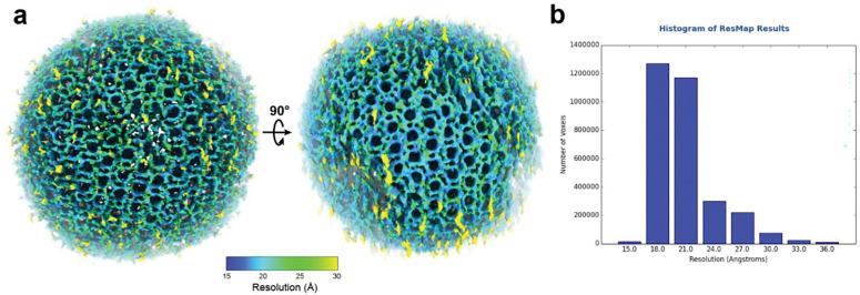 Extended Data Fig. 4 |