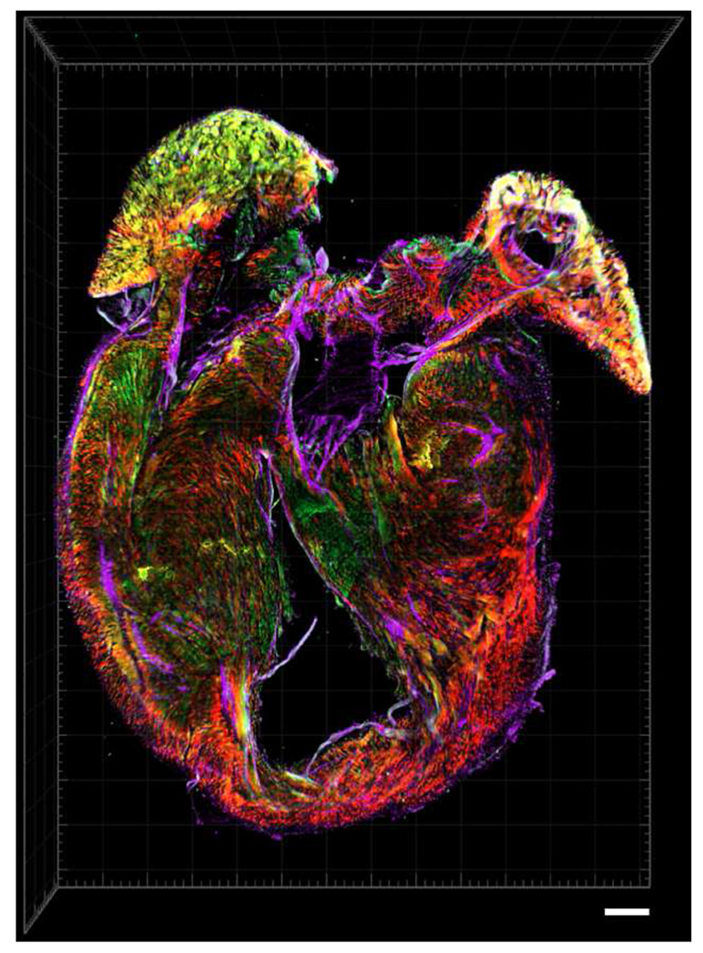 Extended Data Fig. 5 |