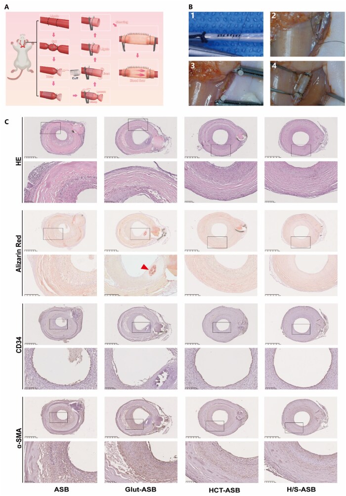 Figure 8