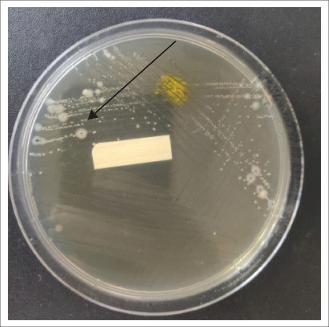 FIGURE 4