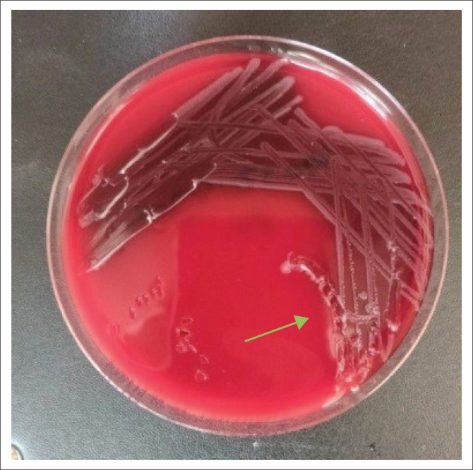 FIGURE 6