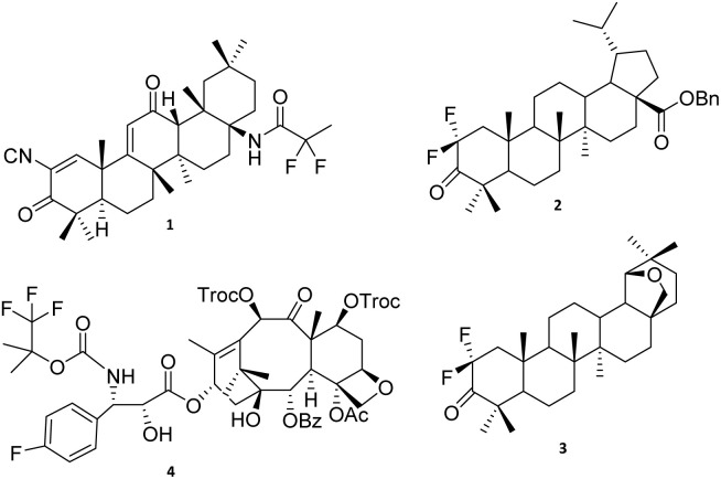 Fig. 1