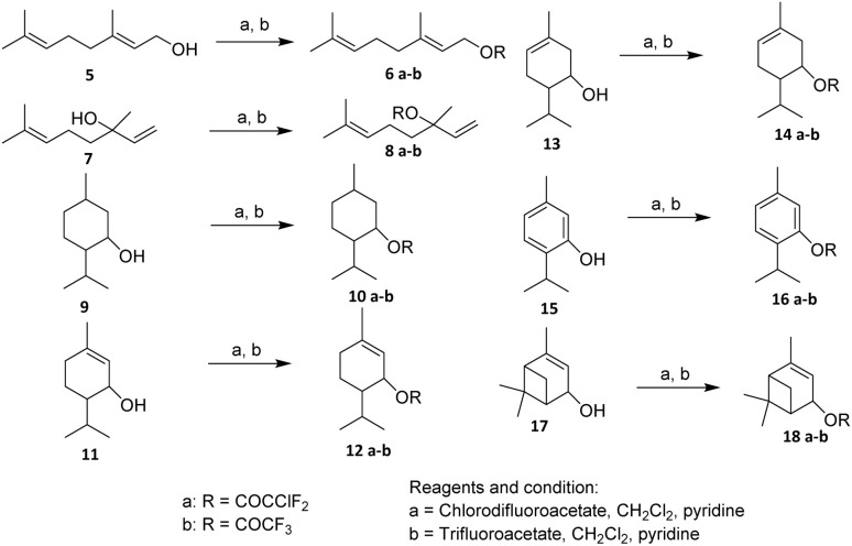 Scheme 1