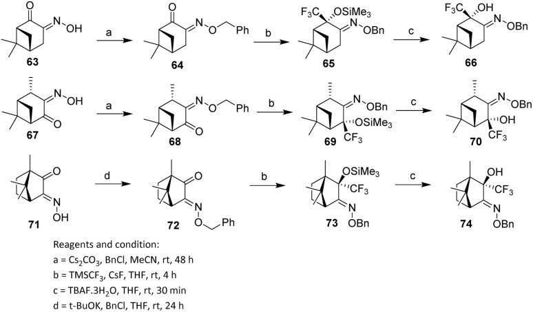 Scheme 10