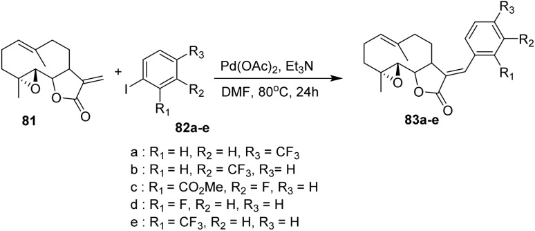 Scheme 14